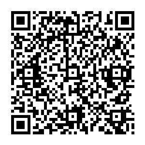 但一直以来稍微有点小问题――很难保证使用者能够活下来的武器一开始就没人敢用二维码生成