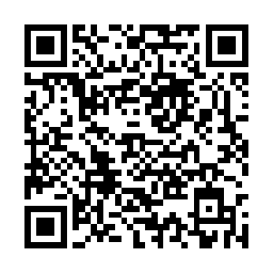 但不代表可以容忍宗家其余人在十寒古地飞扬跋扈二维码生成