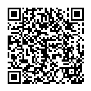 但不可否认这二十四小时已经如同刀砍斧劈一样深刻记忆在她的脑海里二维码生成