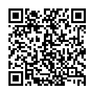 但不论是苗疆又或是古代的江南更甚至是此时的南疆二维码生成