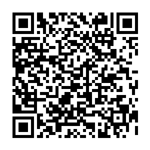 但两人逐渐的仇怨真的算不上特别大的……秦方看这小子也算是有点顺眼二维码生成