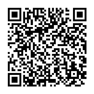 但为什么眼前的这个修仙者竟然会为了救自己一而再再而三的冒险二维码生成