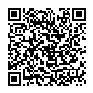 但为什么赵雨舒会说之前的那三个爬上去的人也没有得到特殊的照顾呢二维码生成