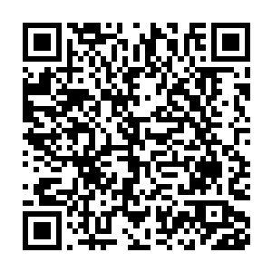 但也可以说他体内一滴精血都没有的……因为每一次的生命值减少二维码生成