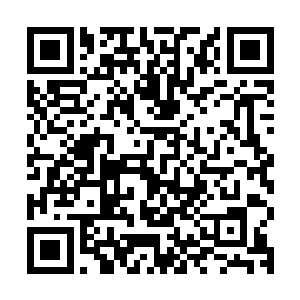 但也正是这点点留下来的智慧便会引导他很快的找回曾经的记忆二维码生成