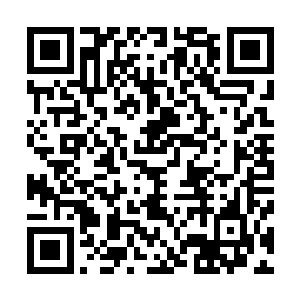 但也让它们的实力强横无比同时具备寻常妖兽所没有的智慧二维码生成