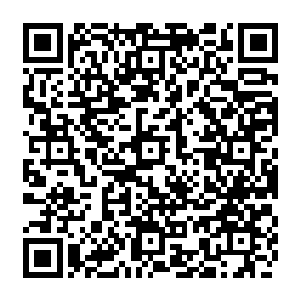 但也远远达不到让秦方恐惧的地步……甚至秦方压根就没有将他们的攻击放在眼里的二维码生成