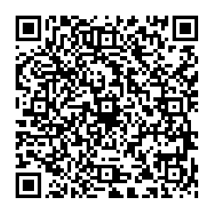 但事实就是如此 散修之人的生命甚至如同蝼蚁 任十大门派中人随意虐杀 而且不能有一点反抗二维码生成