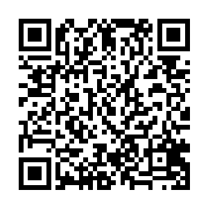 但五大世家粮行管事知晓我们急需用粮定然坐地起价二维码生成