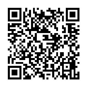 但人殿殿主和夏府府主这样的人他是真的看不起的二维码生成