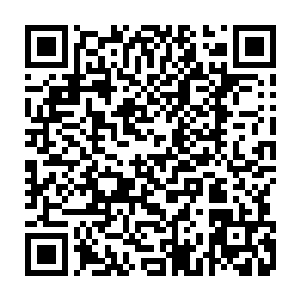 但今日还是第一次在如此近的距离之下这般清晰的感受到这股力量的玄妙二维码生成