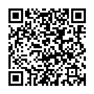 但仍是在府里养伤的秦王也接到了镇国公府及林尚书府的消息二维码生成