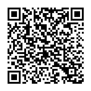 但他之前可是接受过寒冰世界那个晨星级别的蝎子男的部分血脉记忆二维码生成