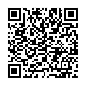 但他们严谨作战中体现出来的活泼倒是让紧张的吴梦溪缓解不少二维码生成
