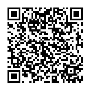 但他们之间却不可能爆发太激烈的战斗……他们的实力彼此之间差距太小了二维码生成