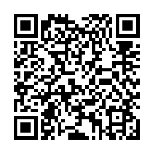 但他们从没有去问那些天兽为什么不是生活在中心位置二维码生成