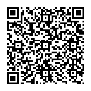 但他们却是地下世界让人闻之色变的优秀杀手……就是因为他们的忍术中有隐身这样的绝技二维码生成