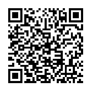 但他们只承诺确保每一部电影都能做到最大800家影院的发行规模二维码生成