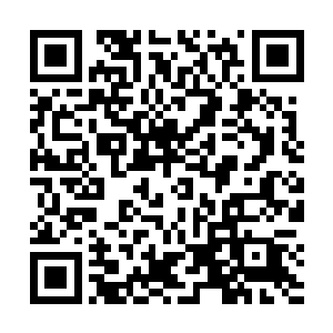 但他们在巴克搜索下面时候倒是毁掉了大量的数据……二维码生成