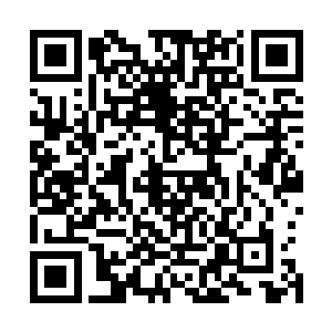 但他们身后却有一片零散的微小星屑在沿着混乱的轨迹移动二维码生成