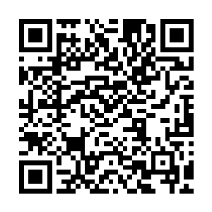 但他们都相信以后会一起环游世界……其实那只是三月份的事二维码生成