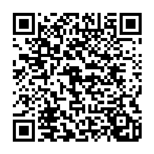 但他似乎并没有因此就想要放弃讨论――他和珍妮不约而同想要活跃气氛的尝试二维码生成