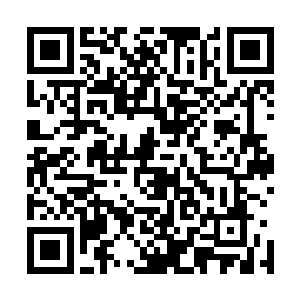 但他却看不到雨果放在桌子下面的双手已经紧紧握成了拳头二维码生成