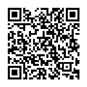 但他对于被叮嘱说这样骨器是他店内镇店之宝一说是深表怀疑二维码生成