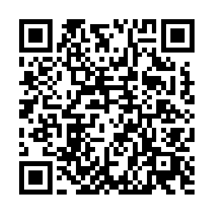 但他的演技实在是堪称拙劣的……明眼人只要不是傻子二维码生成