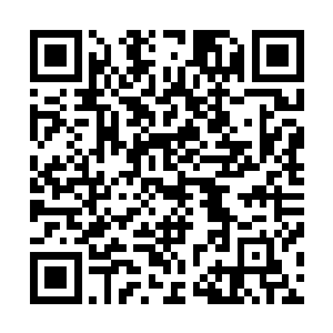 但他知道执法堂堂主和其他堂主完全不一样――抱丹境强者二维码生成
