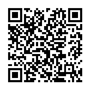 但他能够通过血脉印记的方式将这种上古攻击再现出来二维码生成