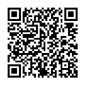 但他那微微抖动的双手让杯底和盘子之间发出了高频率的叮叮声二维码生成