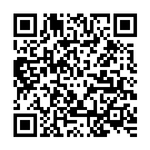 但伊伦老头这个时候一点也不敢反抗他已经被雷林彻底吓住了二维码生成
