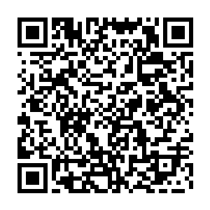 但作为张铁长这么大用自己的汗水和劳动对这个家庭做的第一笔贡献二维码生成