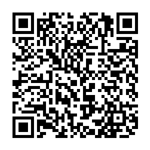 但你一定要相信等它重新长出牙齿和爪子之后依然是一只威风凛凛的猎豹二维码生成