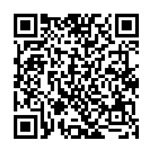 但你们偏偏没有这么做――这才是我愿意相信你们的理由二维码生成