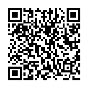 但你没必要为了珍惜虫晶的效果去用自己的身体承受副作用二维码生成