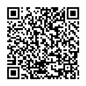 但你若是用实力能赢了比试又有纹身那么没有人能再阻止你登上蛊主的位置了二维码生成