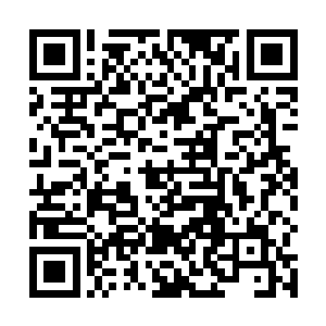 但你这尸刀第一高手……实战能力实在是令我震惊……二维码生成