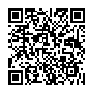 但依然无法将整片荒漠大陆改造成一片充满勃勃生机的绿洲二维码生成