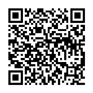 但其中的最精华部分的果核中的数粒种子却可以培育无极果树二维码生成