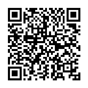 但凡有张潇晗经历的修士都不会把时间浪费在这样的宴会上二维码生成