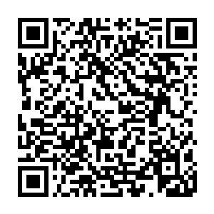 但刑侦和法律这方面嘛……我建议你不要在这种我经常接触的领域里跟我装逼二维码生成