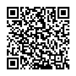 但剑尘仍然感觉到有一股十分浩瀚的波动从荒漠二维码生成