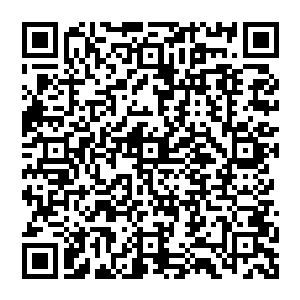 但华族的狮子雕像脚下踩着的那个球状物表面的花纹为什么会和这颗果实表面的花纹如此一致二维码生成