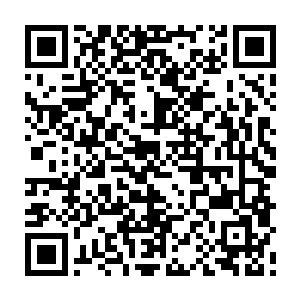 但却也算是成了一条生命线了……文森特领着几个人迅速爬上了这一根绳索二维码生成