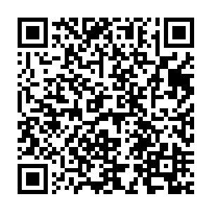 但却无法把黑铁之堡里面已经长在地上的一根草用这个功能移出来二维码生成