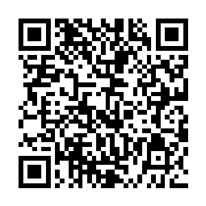 但却有着一种类似新人保护期的制度保护着他们的基本安全二维码生成