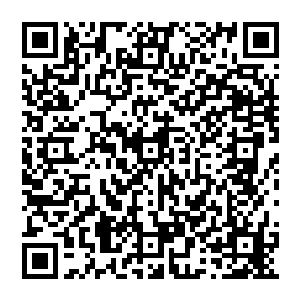 但却来了今晚的奥斯卡――而我们杰出的导播也神奇地知道了他会在这个时候出现在这个位置二维码生成