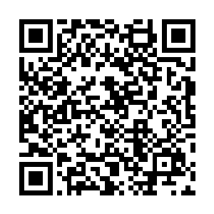 但却没想到直接在刘海涛的翡翠原石拍卖会上就碰到了你二维码生成